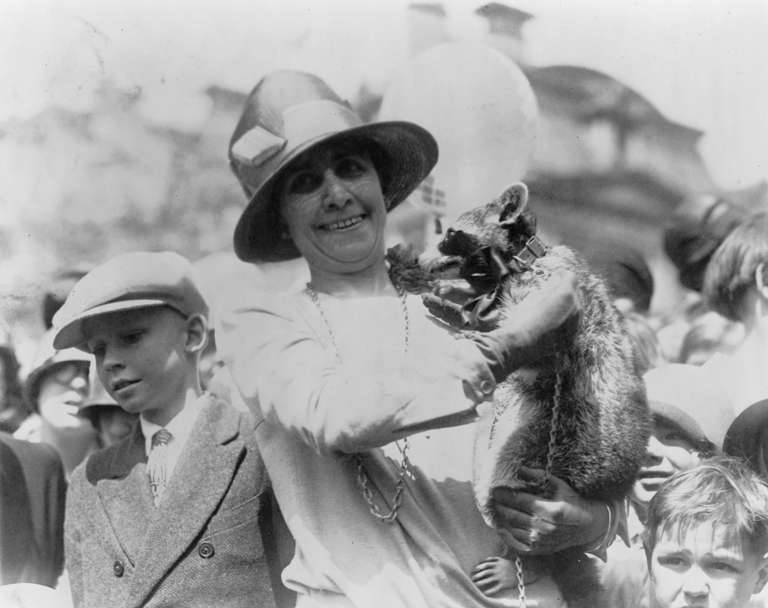 Grace Coolidge-nak saját mosómedvéje is volt, Rebeccának hívták