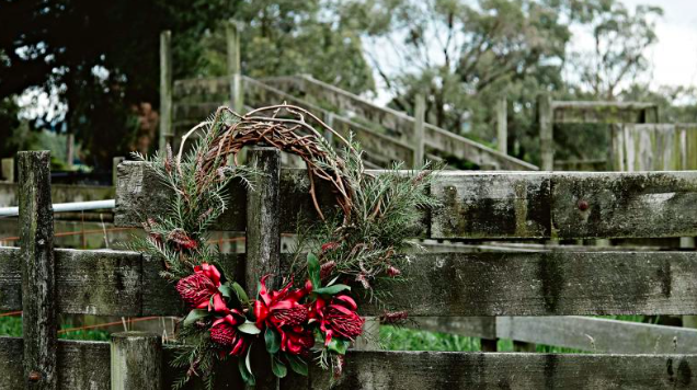 Ilyen a karácsonyi készülődés egy miniszamár farmon - tündéri fotók