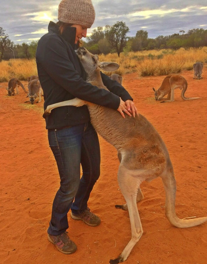 Minden nap öleléssel ad hálát a mentett kenguru