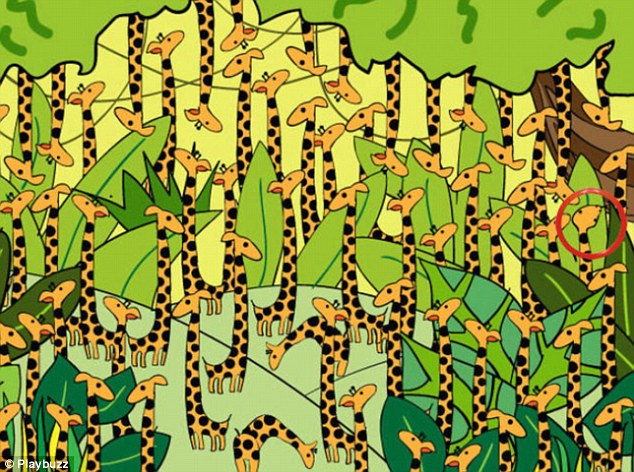 Találd meg a kígyót a zsiráfok között - itt a legújabb netes rejtvény