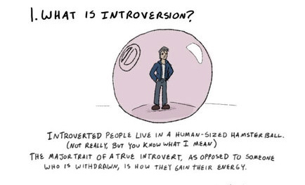 Nem furcsa vagyok, csak introvertált!