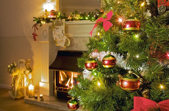 5 tipp karácsonyfa vásárláshoz