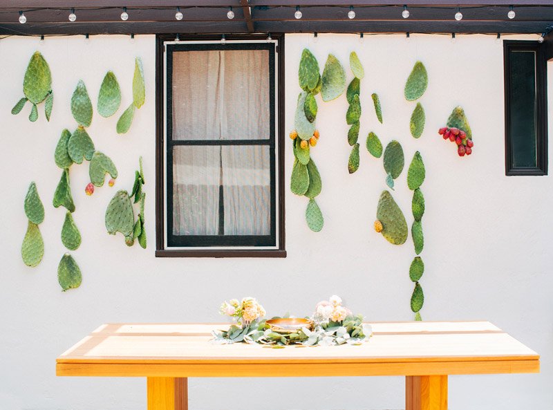 15 inspiráló kép kaktuszokról, ami után te tuti is akarsz majd egyet a lakásodba!