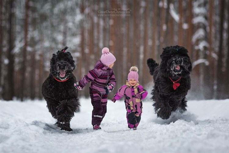 Kicsi gyerekek hatalmas kutyákkal - cuki fotók