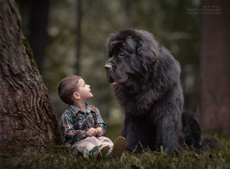 Kicsi gyerekek hatalmas kutyákkal - cuki fotók