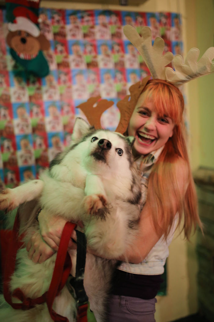 12 állat, aki mindennél jobban utálja a karácsonyt -vicces fotók