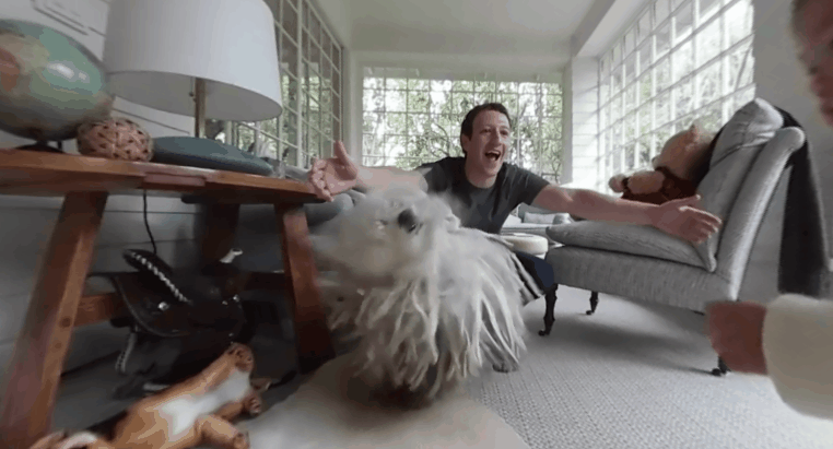 Mark Zuckerberg a lányát videózta, a kutya beletrollkodott