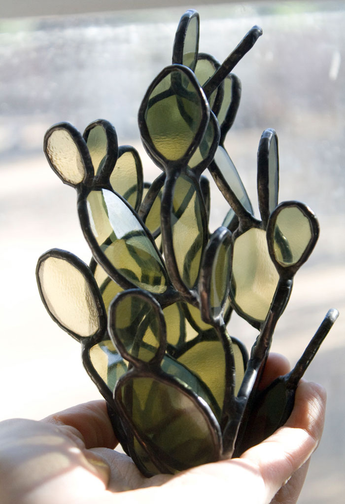 Pozsgások üvegből - azoknak, akik még kaktuszt sem tudnak gondozni