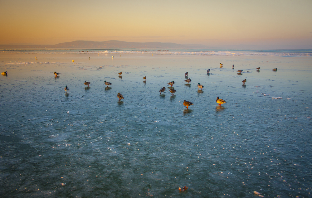 Elképesztő fotók: így néz ki a befagyott Balaton