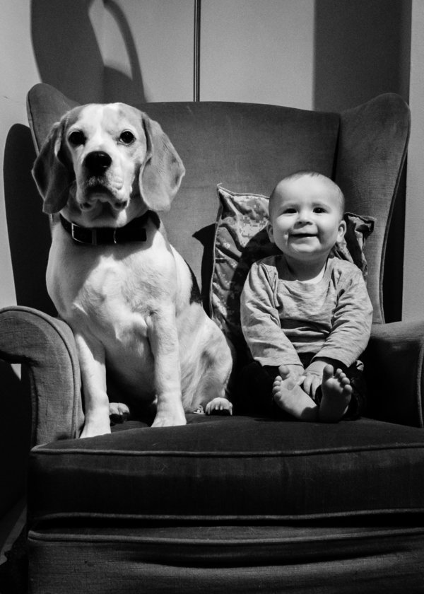 Egy baba és egy kutya két éve tartó barátsága képekben
