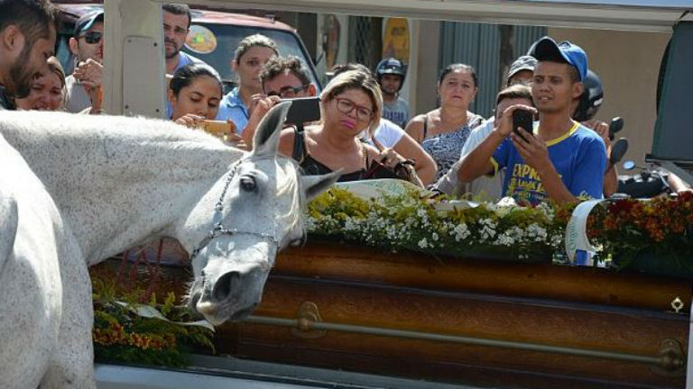 Sírva búcsúzott halott gazdájától egy ló 