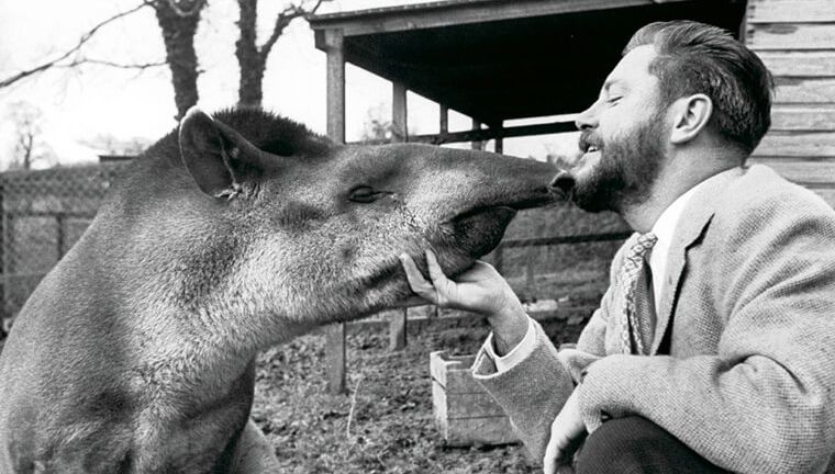 Gerald Durrell és egy rakoncátlan tapír