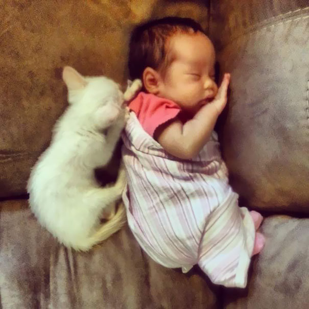 Találkozása első napjától együtt alszik a kislány és a cica