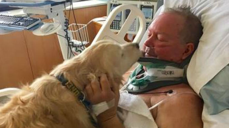 Kutyájának köszönheti a 64 éves férfi, hogy nem fagyott halálra