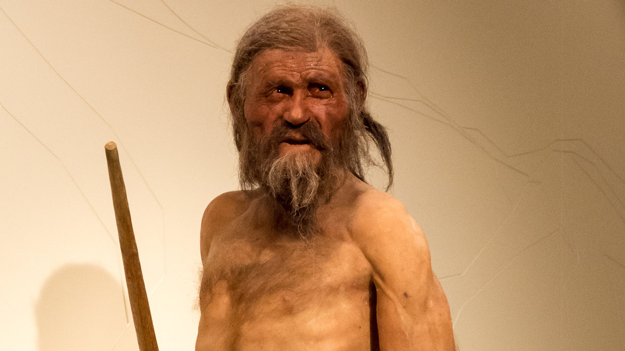 Kiderült mi volt Ötzi utolsó vacsorája