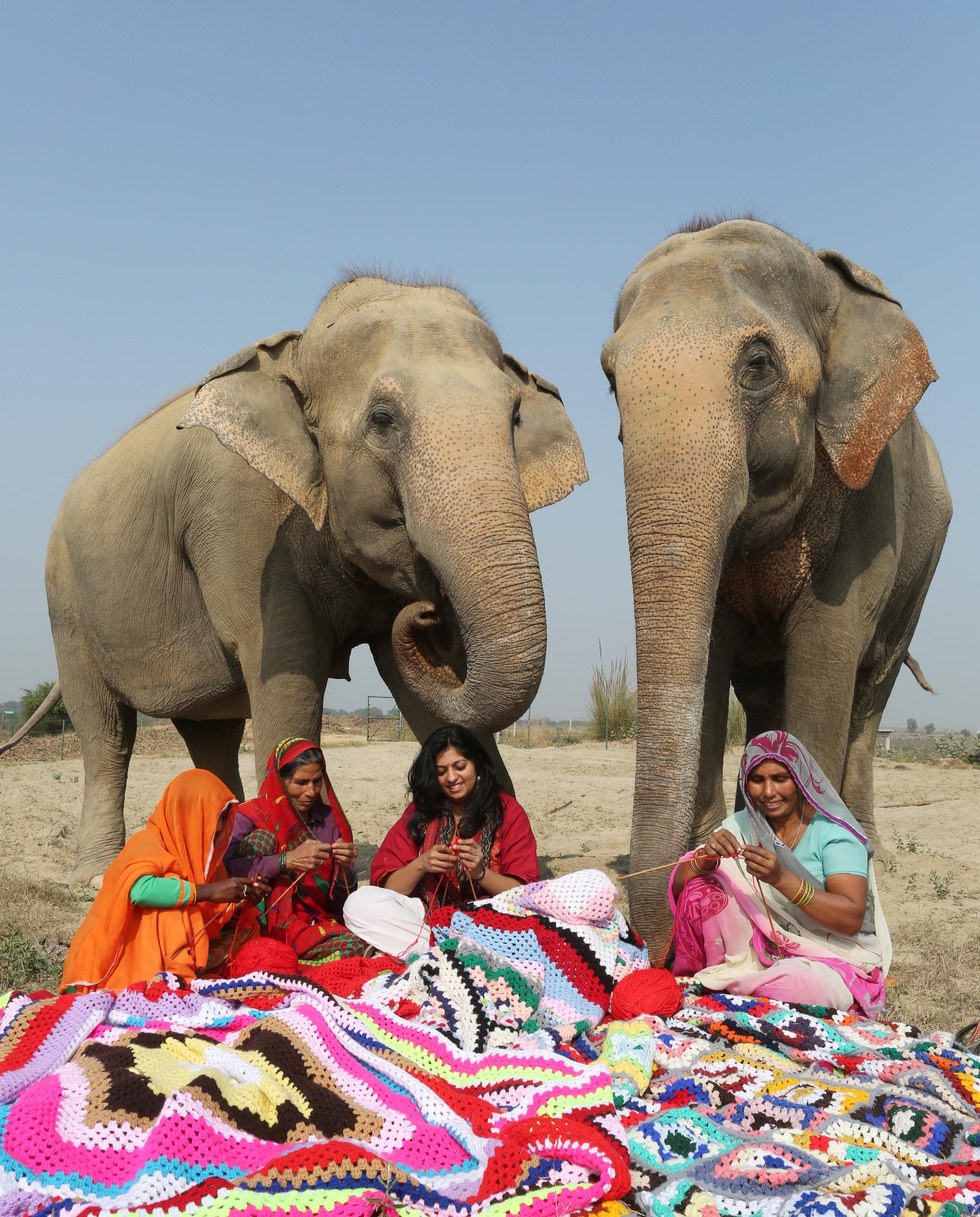Megható: hatalmas pulcsikat kötnek az elefántoknak egy indiai falu lakói