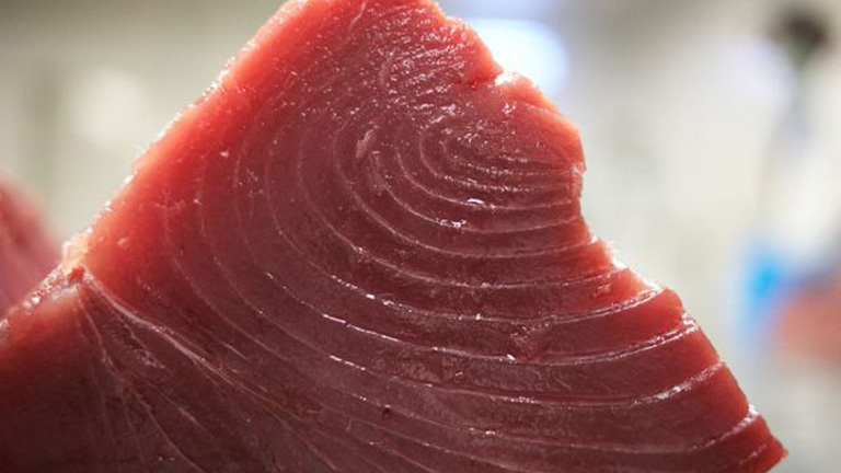 Színezik az olcsó tonhalat Európában