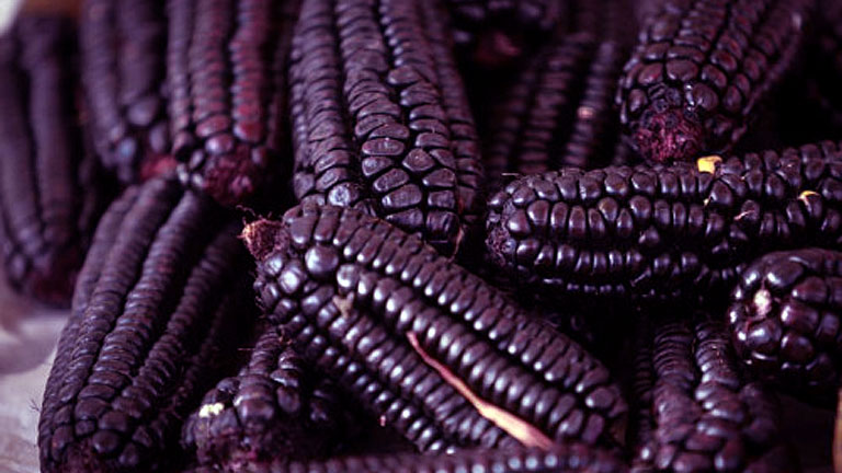 Nem könnyű lila kukoricához hozzájutni, de érdemes megpróbálni! (Fotó: Tumblr)