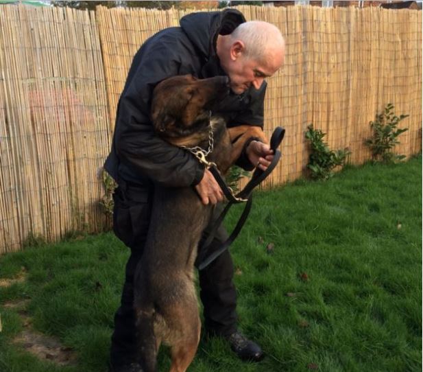 Nem tarthatja meg nyugdíjazása után kutyáját a rendőrtiszt