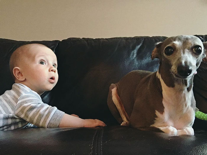 Csak a kisbaba tudott segíteni a mindentől félő kutyuson