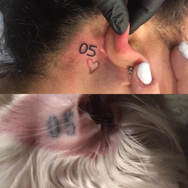 Magára tetováltatta mentett kutyája bélyegét