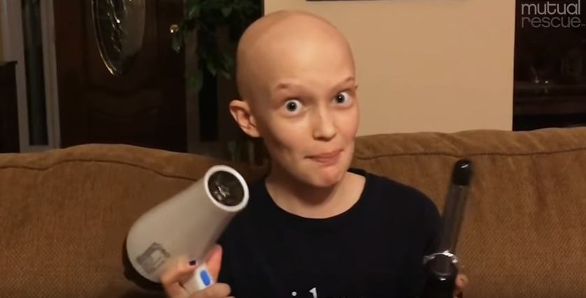 Egy kiscicát kért, és ezzel megmentette családját a rákban haldokló kislány