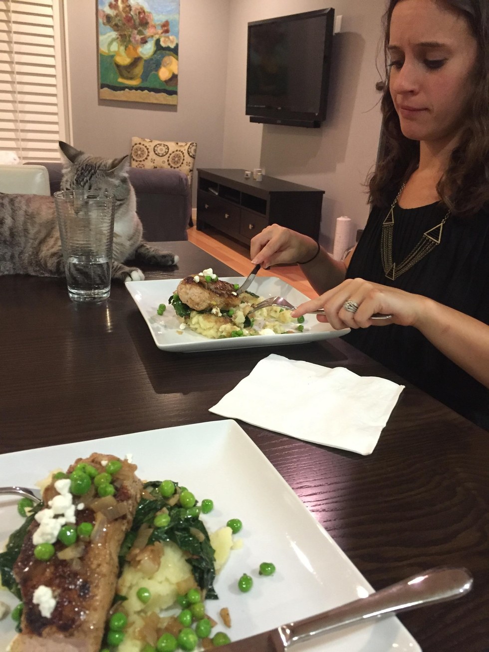 Minden étkezést árgus szemmel figyel a gourmet macska