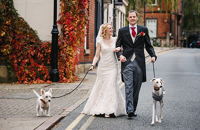 Esküvői tanú lett a világ legsoványabb kutyájából