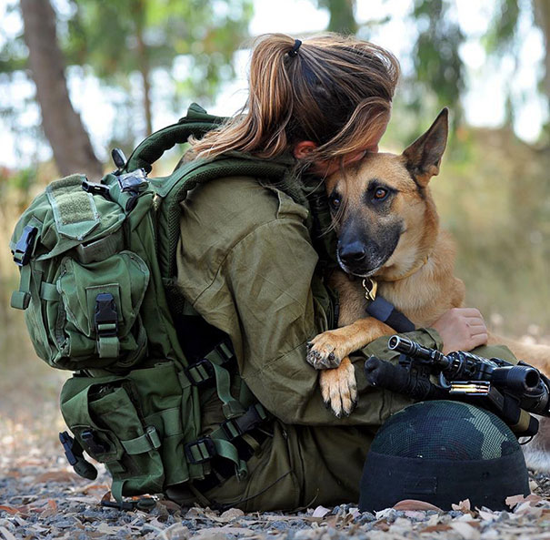 A leghűségesebb harcosok - katonai kutyák bevetésen