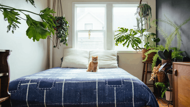 7 trükk, amit bevethetsz, ha a hálószobád alig nagyobb az ágyadnál
