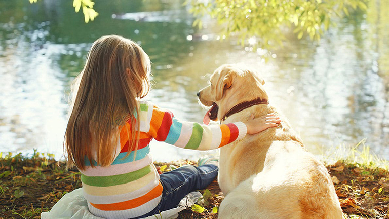 A gyerekek jobban örülnek egy kutyának, mint egy testvérnek