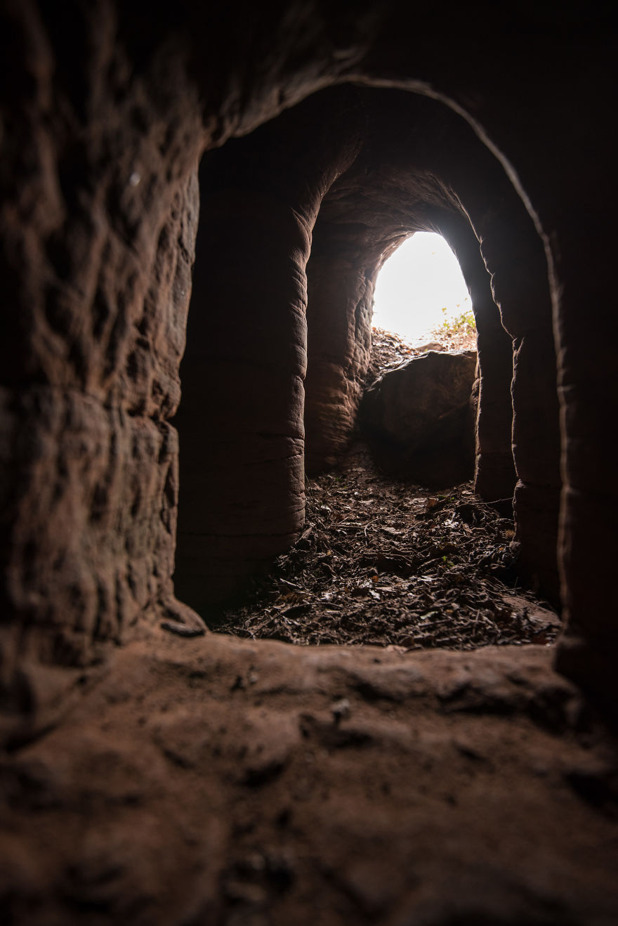 700 éves alagútrendszerbe vezet a nyúlüreg