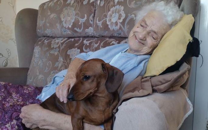 Tacskókölyök lett az idős Alzheimeres néni legjobb barátja 