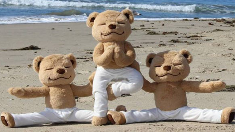 Testtudatos teddy mackó neveli a gyerekeket a jógára