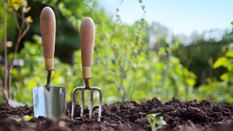 5 kertészkedési tipp kezdőknek