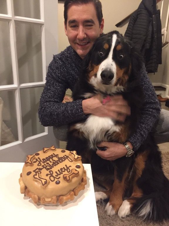 Ennél a kutyánál még senki nem várta jobban a szülinapi tortát - vicces fotó