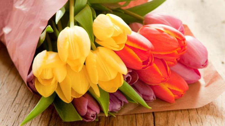 6 dolog, amit nem tudtál a tulipánról