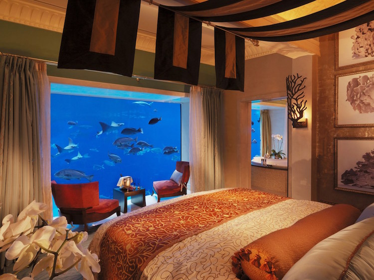A halakkal aludni még sosem volt ilyen kellemes - víz alatti hotelszobák