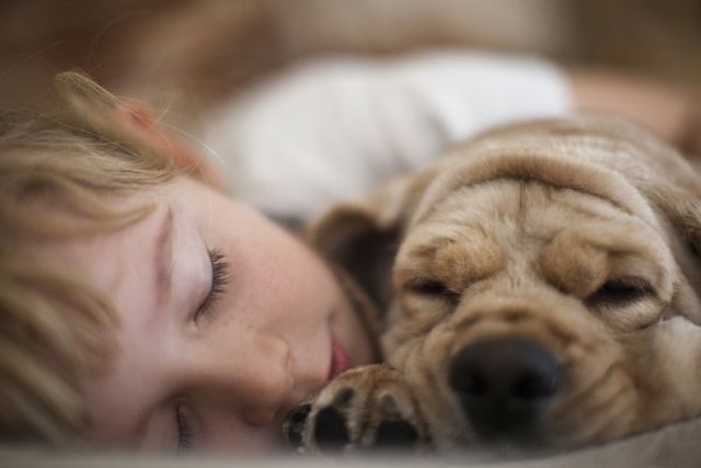 Ezek a képek bizonyítják, hogy a babák és az állatok a legjobb alvótársak