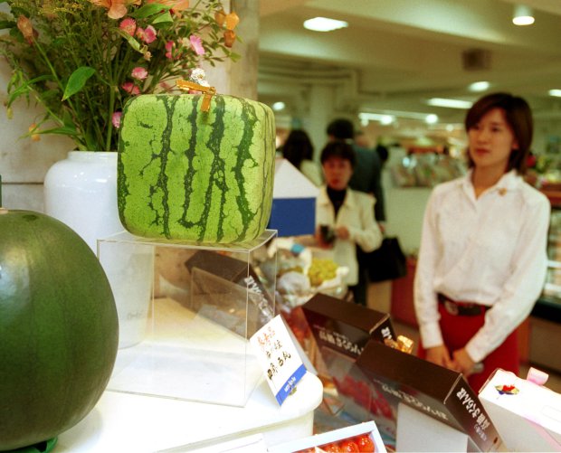 Vagyonokat fizetnek Japánban a kocka alakú görögdinnyéért