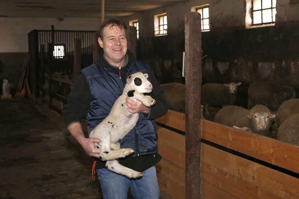 Egy vidéki állatorvos egy napja
