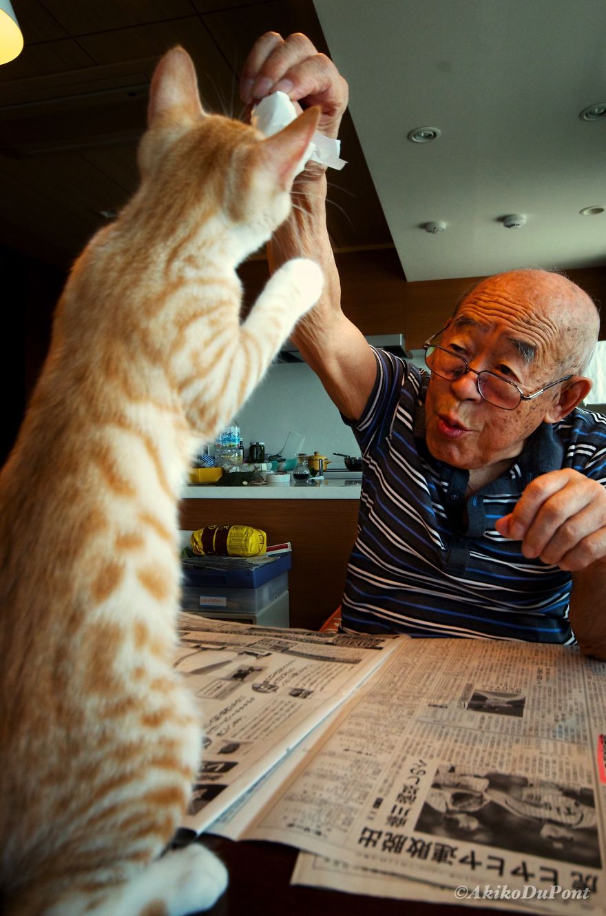 Teljesen felforgatta a beteg nagypapa életét a macska - megható fotók