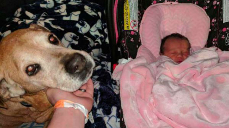 17 évesen fogadták örökbe kutyájukat – megélte első gyermeküket 