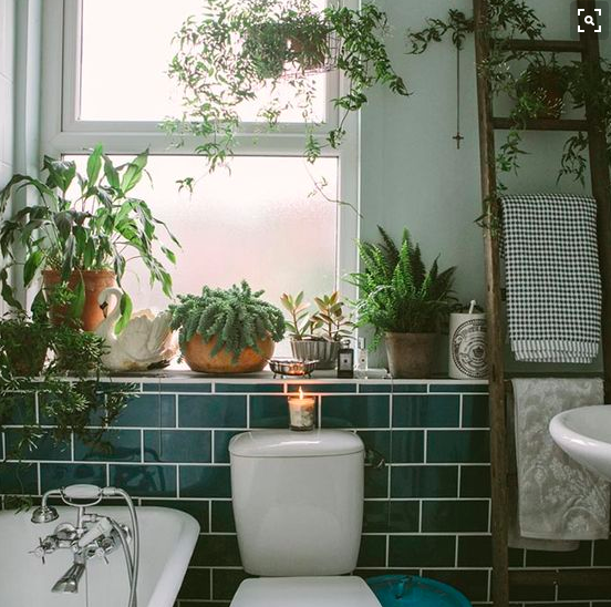 Növényekkel telipakolt fürdőszobáktól őrül meg a Pinterest