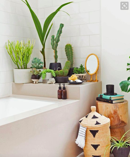Növényekkel telipakolt fürdőszobáktól őrül meg a Pinterest