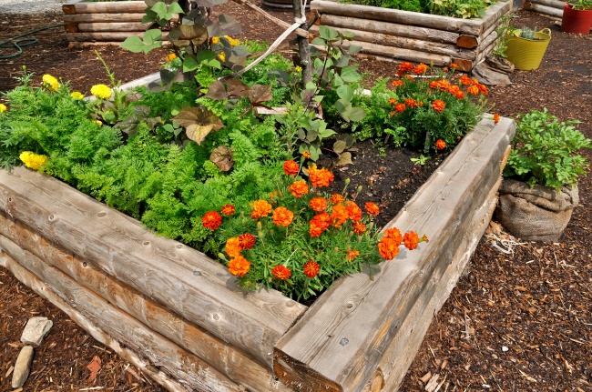 8 megoldás a kertbe, ami valóra váltja a kertészek álmait