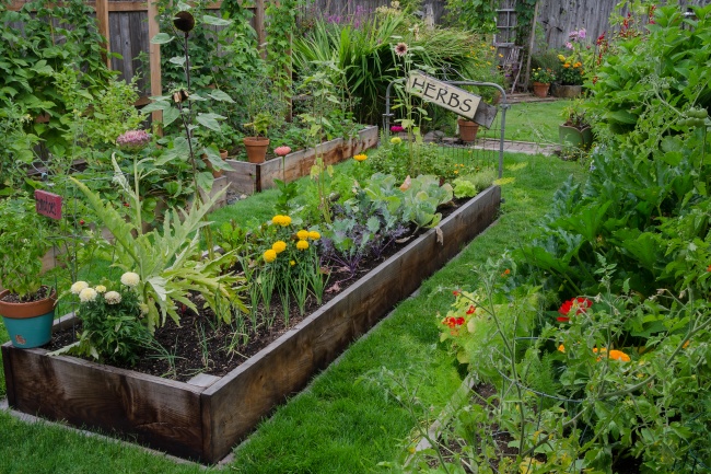 8 megoldás a kertbe, ami valóra váltja a kertészek álmait