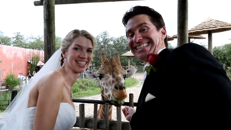 Állatkerti esküvő
