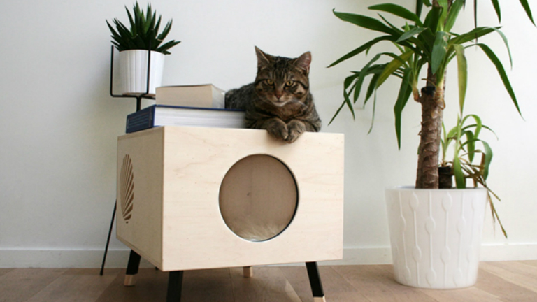 Cicaimádók figyelem: macskabútor modern formában