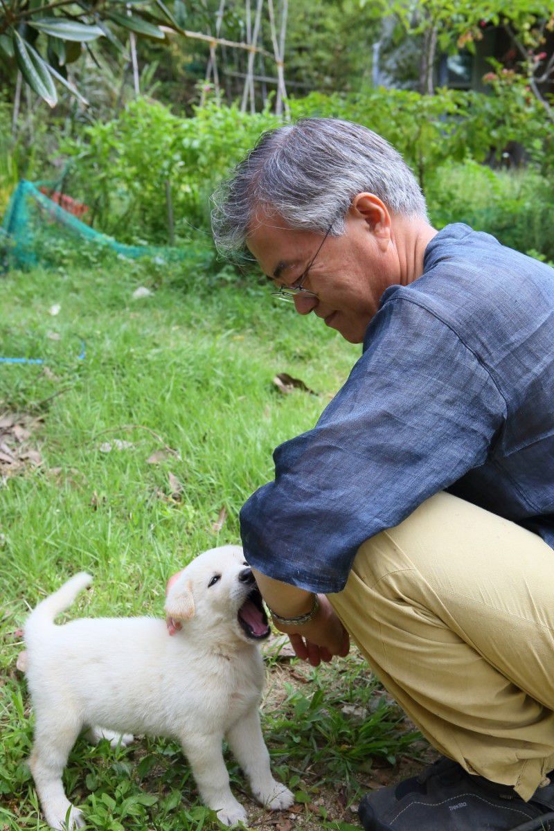 Dél-Korea miniszterelnökénél nincs nagyobb állatbarát - cuki fotók